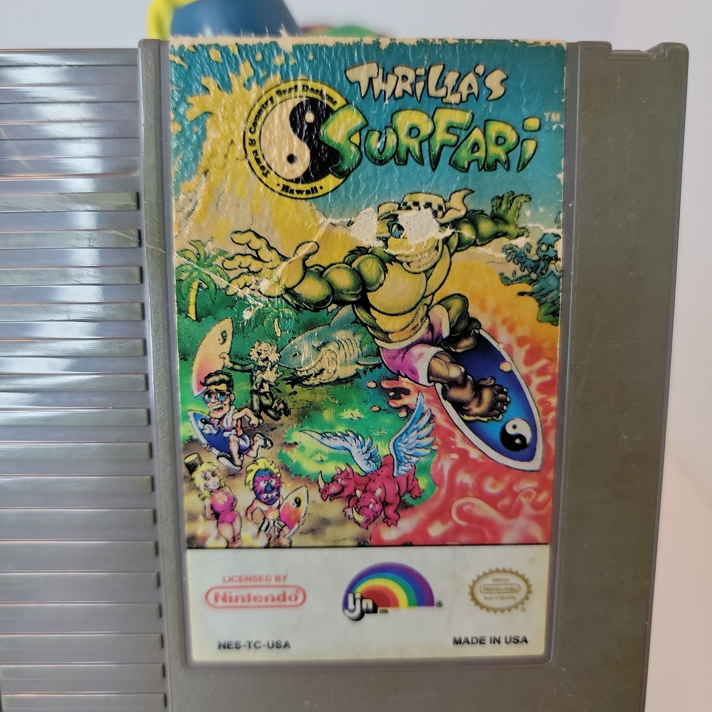 Thrillas surfari  (nes)